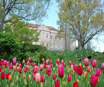 Cheekwood Estate and Gardens: General Admission